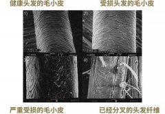 防曬霜哪個(gè)品牌好用洗發(fā)水(防曬霜哪個(gè)牌子的防曬防水果好)