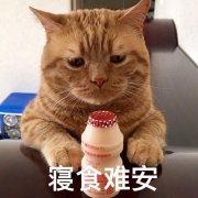 貓咪用哪個(gè)品牌的防曬霜(貓貓沐浴露哪個(gè)牌子好)